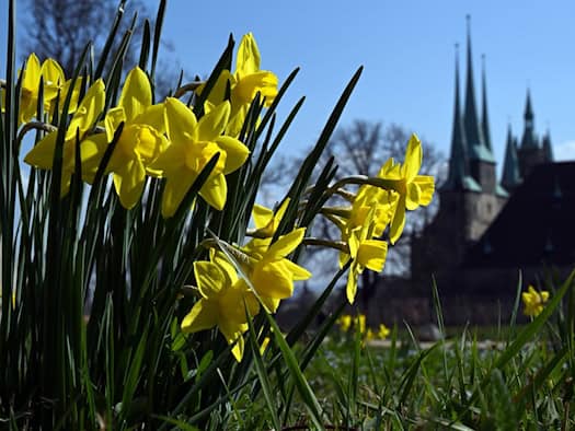 An diesen Tagen kommt nach Ostern die Sonne raus