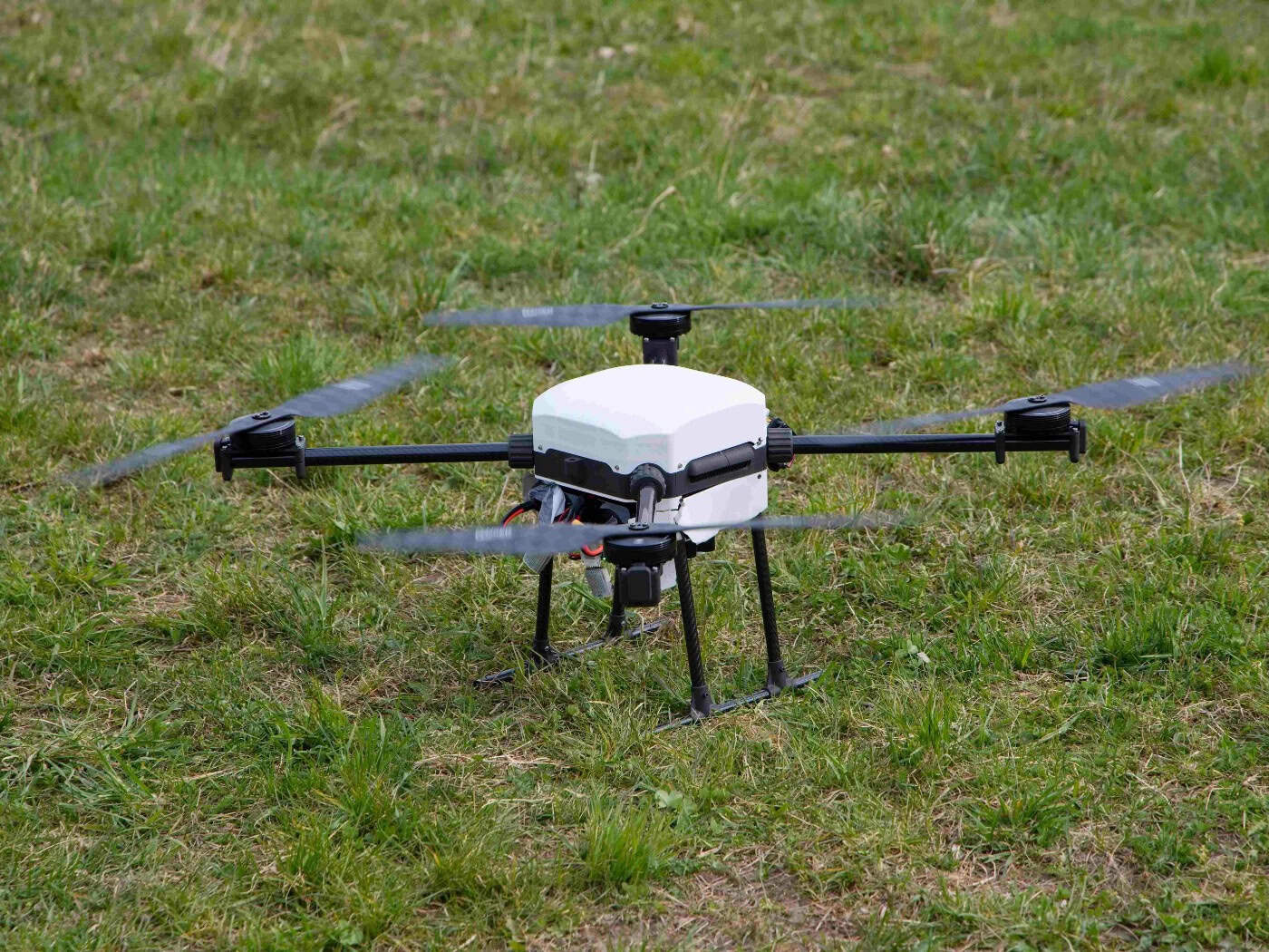 Drohnen aus Tschechien orientieren sich an Vogelschwärmen