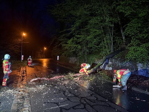 Baum fällt auf Straße in Reichenberg