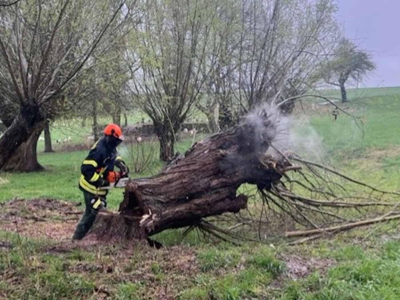 Baumbrand nach Blitzschlag in Burkhardswalde