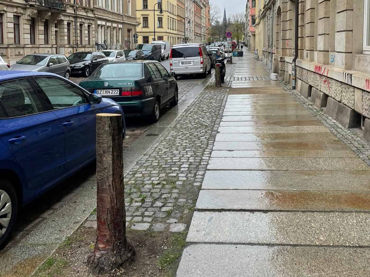 Blick in die Fichtenstraße in der Dresdner Neustadt mit einem Baumstumpf im Vordergrund, geparkten Autos und Gründerzeithäusern bei Regen.