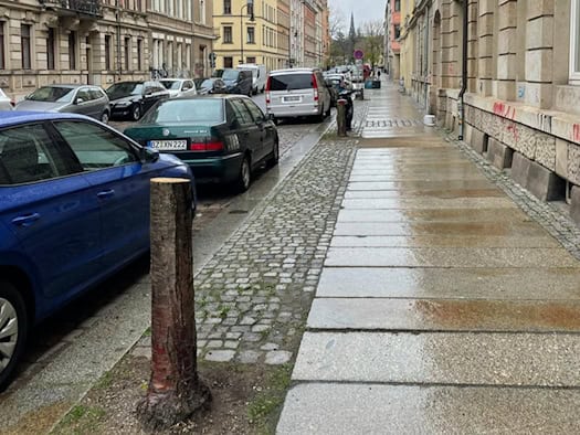 Blick in die Fichtenstraße in der Dresdner Neustadt mit einem Baumstumpf im Vordergrund, geparkten Autos und Gründerzeithäusern bei Regen.