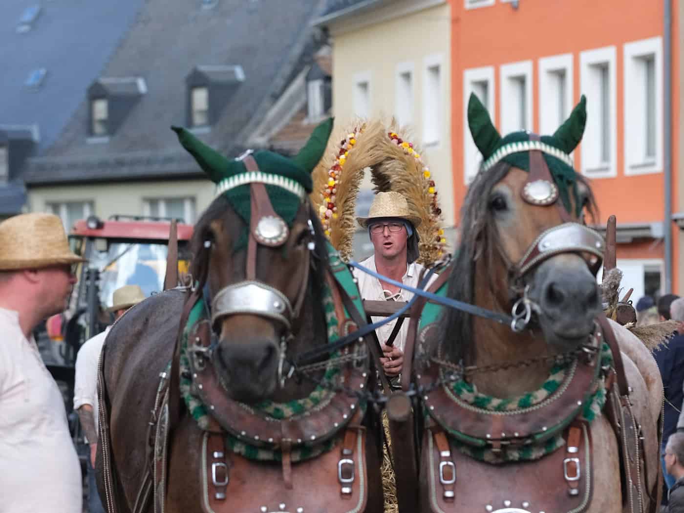 La Fiesta de la Vendimia 2027 une a la ciudad y al campo