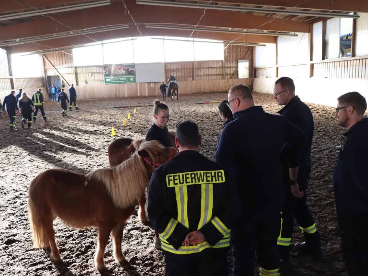 Feuerwehr Radebeul übt mit Pferden