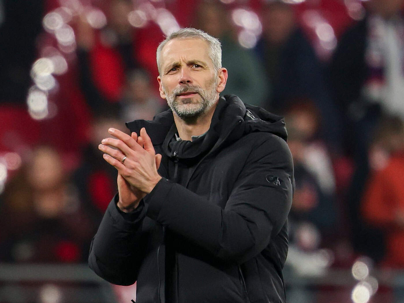 Розширені переговори: улюблена троянда в Борнмуті