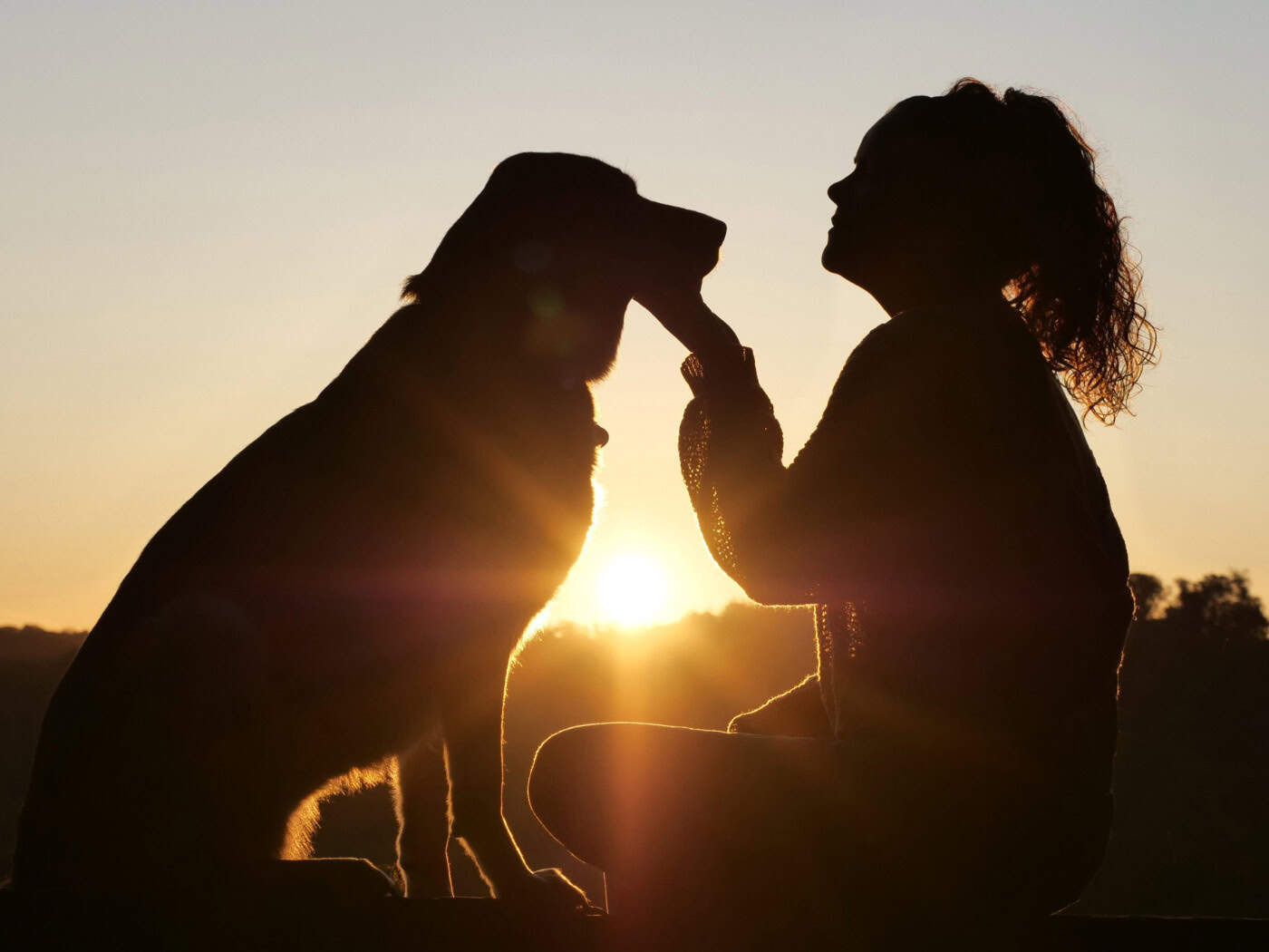 What seems like an everyday scene has deep roots: researchers have now proven how old the bond between humans and dogs really is.