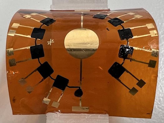 So sieht die Zukunft des Hirnimplantats aus: Das leitfähige Gel PEDOT:sGAGh auf einem biegsamen Substrat, entwickelt an der TU Dresden.