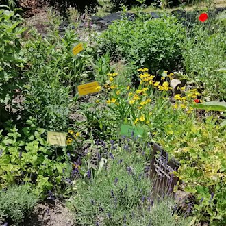 Kräutergarten