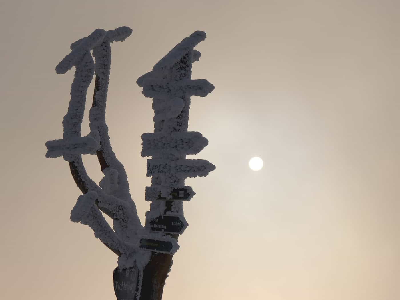 Leichter Schneefall im Erzgebirge zum Wochenende
