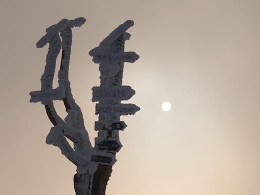 Leichter Schneefall im Erzgebirge zum Wochenende