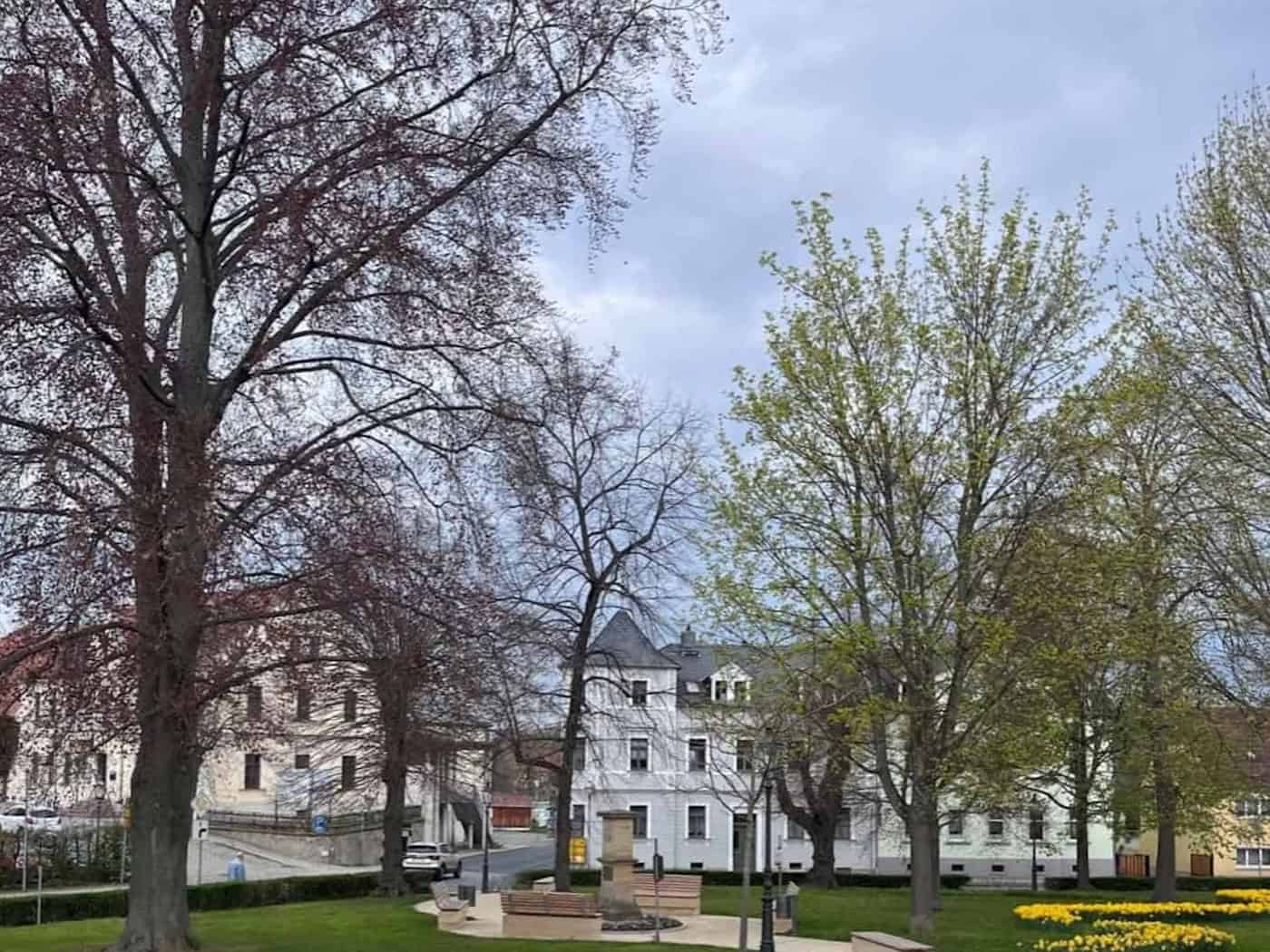Blick auf einen kleinen, parkartigen Platz mit großen Laubbäumen. Im Hintergrund dreigeschossige historische Wohnhäuser.