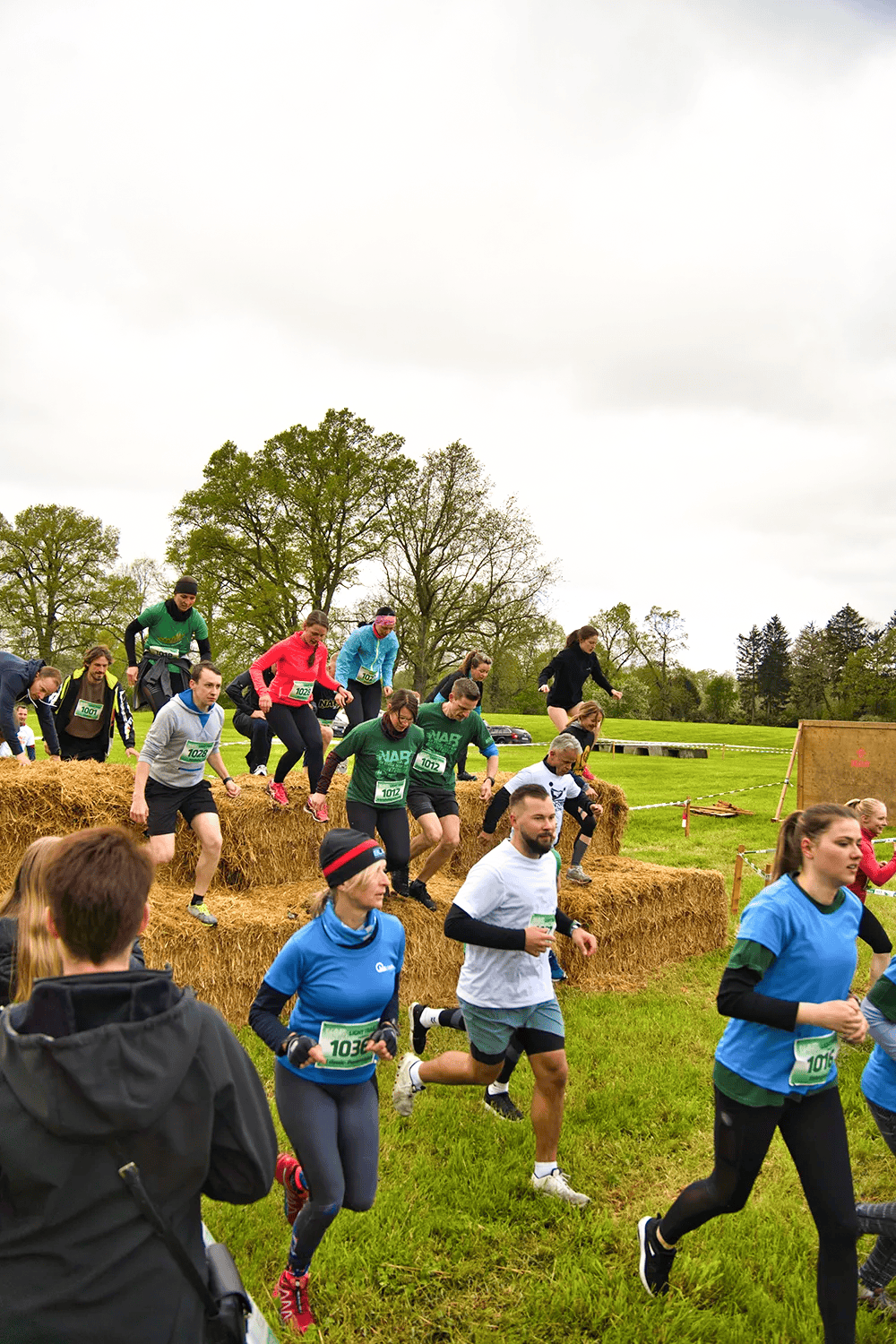 Laufende, Stroh, Wiese