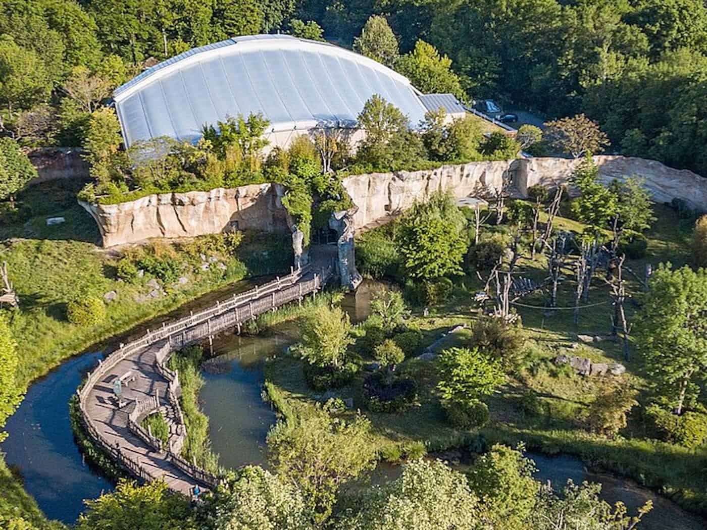 Pongoland at Leipzig Zoo: Around 50 great apes live in five outdoor and five indoor enclosures on three hectares.