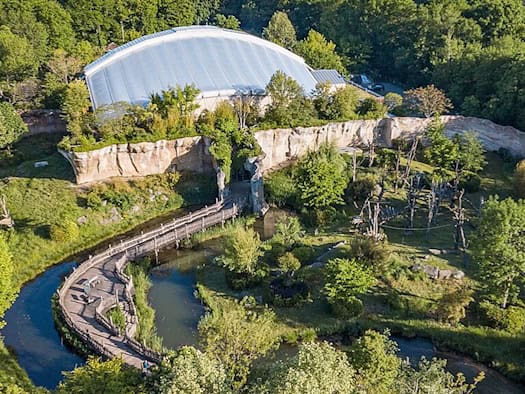 Pongoland im Zoo Leipzig: Auf drei Hektar leben rund 50 Menschenaffen in fünf Außen- und fünf Innenanlagen.