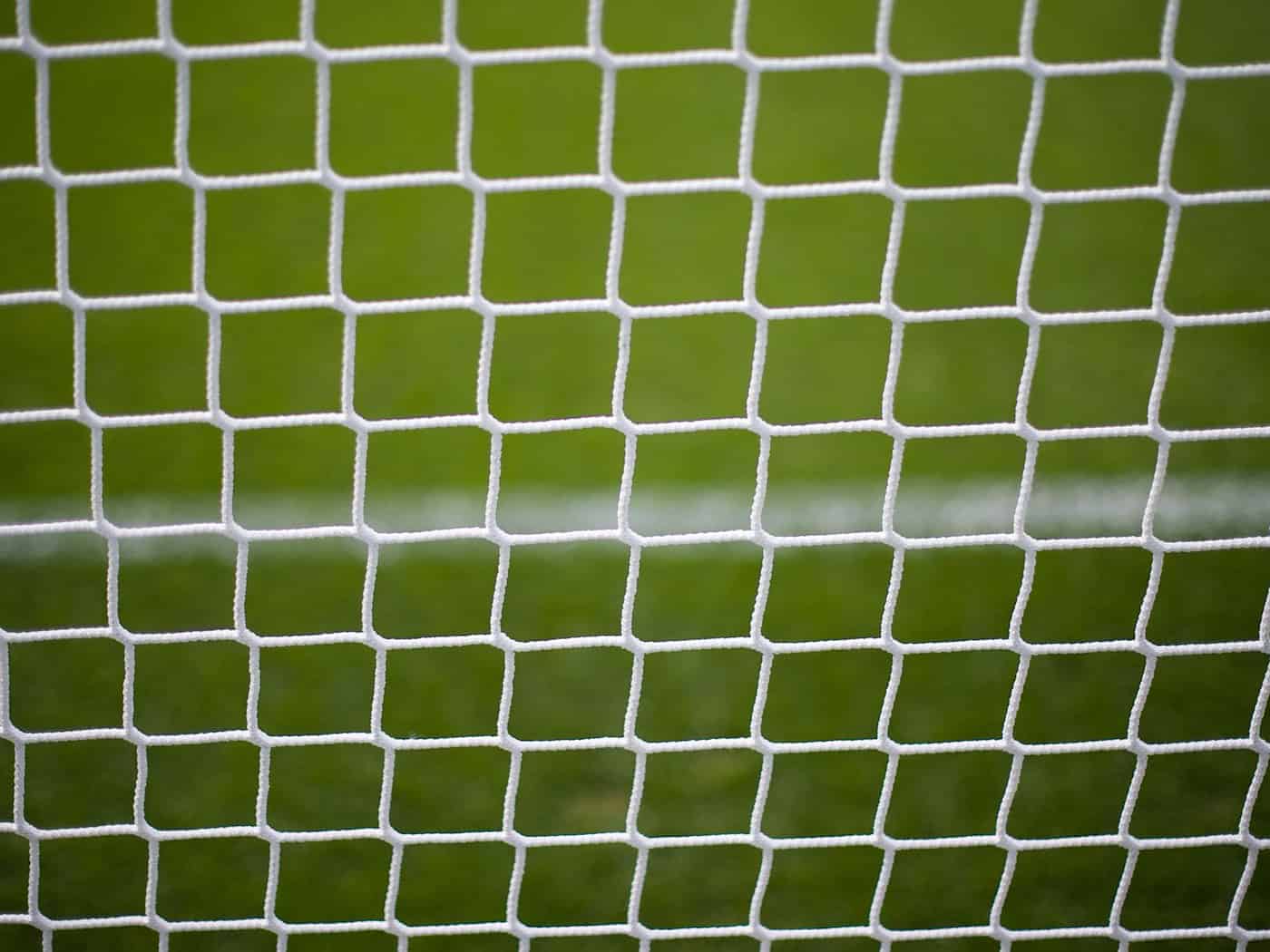 Rehbock verheddert sich im Netz eines Fußballtores