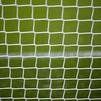 Rehbock verheddert sich im Netz eines Fußballtores