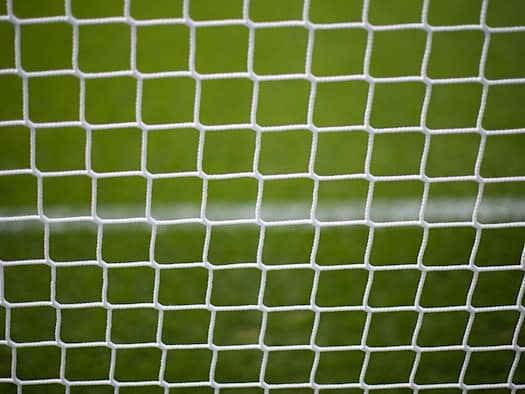 Rehbock verheddert sich im Netz eines Fußballtores