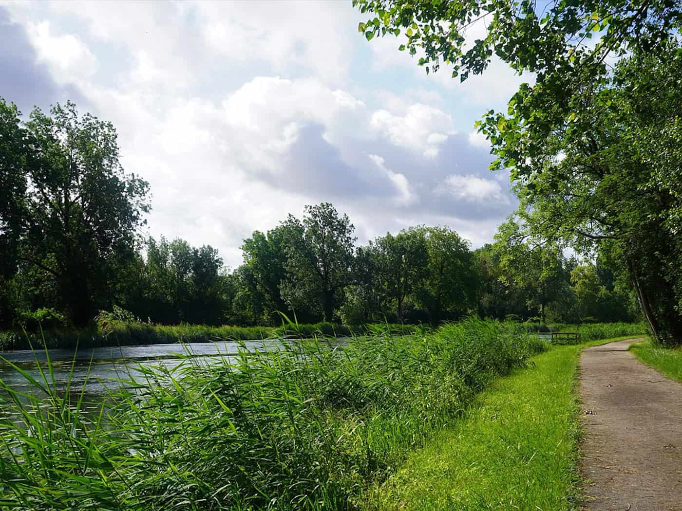 Neubau eines Geh- und Radwegs entlang der S 96 bei Moritzburg