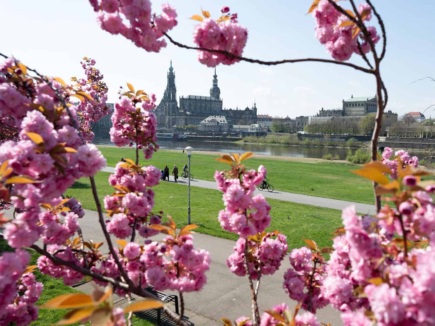 Sachsen ist im April das kühlste Bundesland