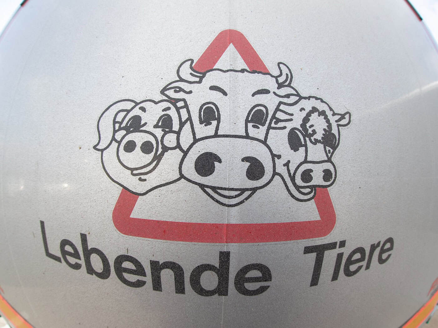 Saxony stops all animal transports to the Middle East