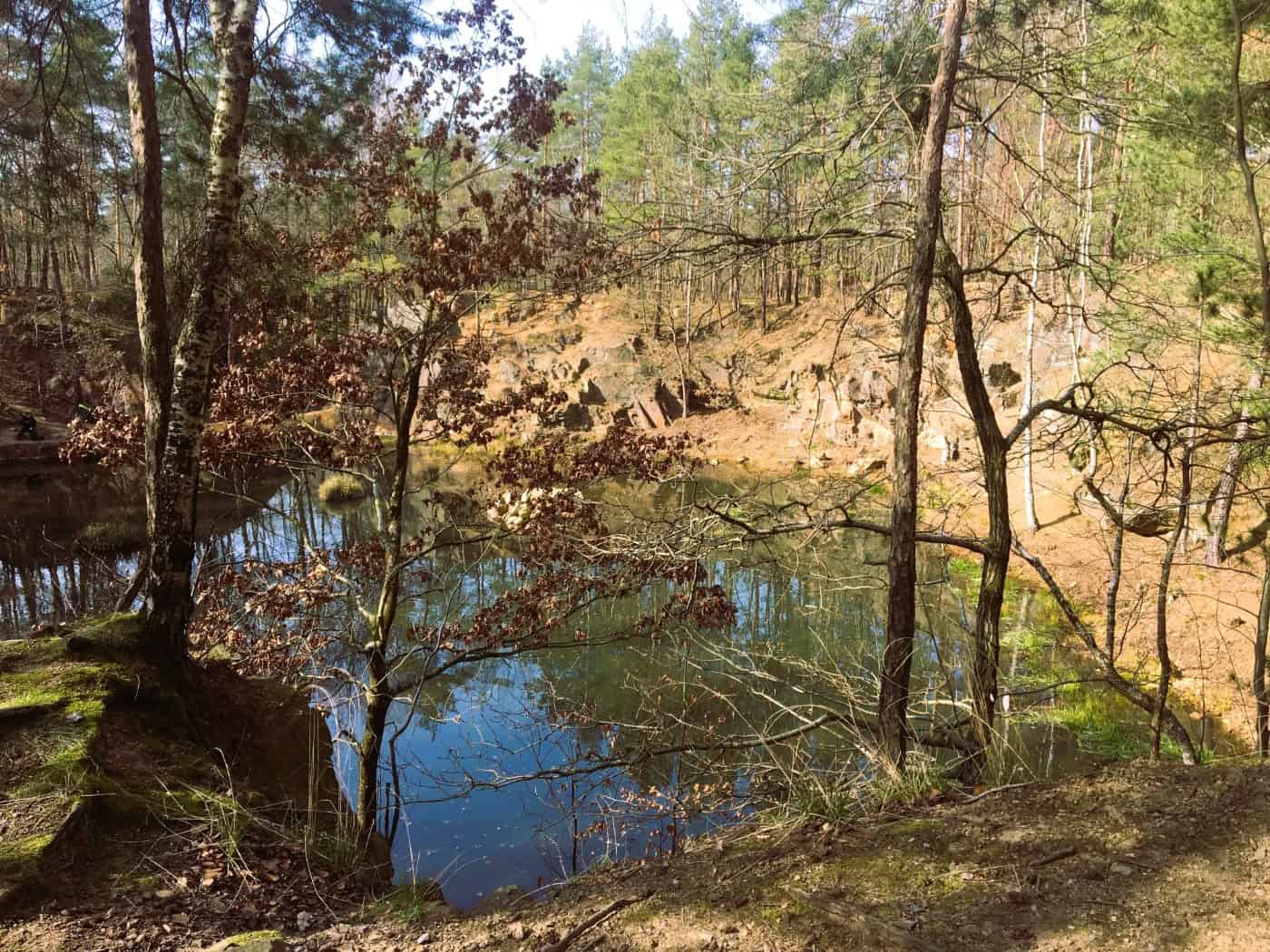 Freiwillige räumen den Friedewald am 1. Mai auf