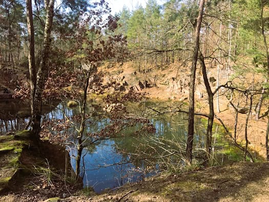 Freiwillige räumen den Friedewald am 1. Mai auf