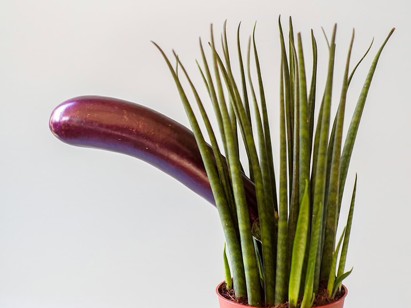 Dresdner Vater fordert klare Regeln für Sexualerziehung