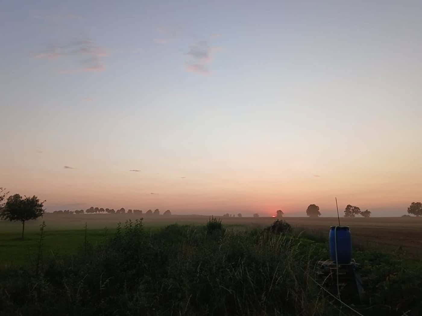 Foto: Blick über Wiesen und Felder mit einzelnen Bäumen in der Ferne bei Morgendämmerung, leichter Nebel am Boden