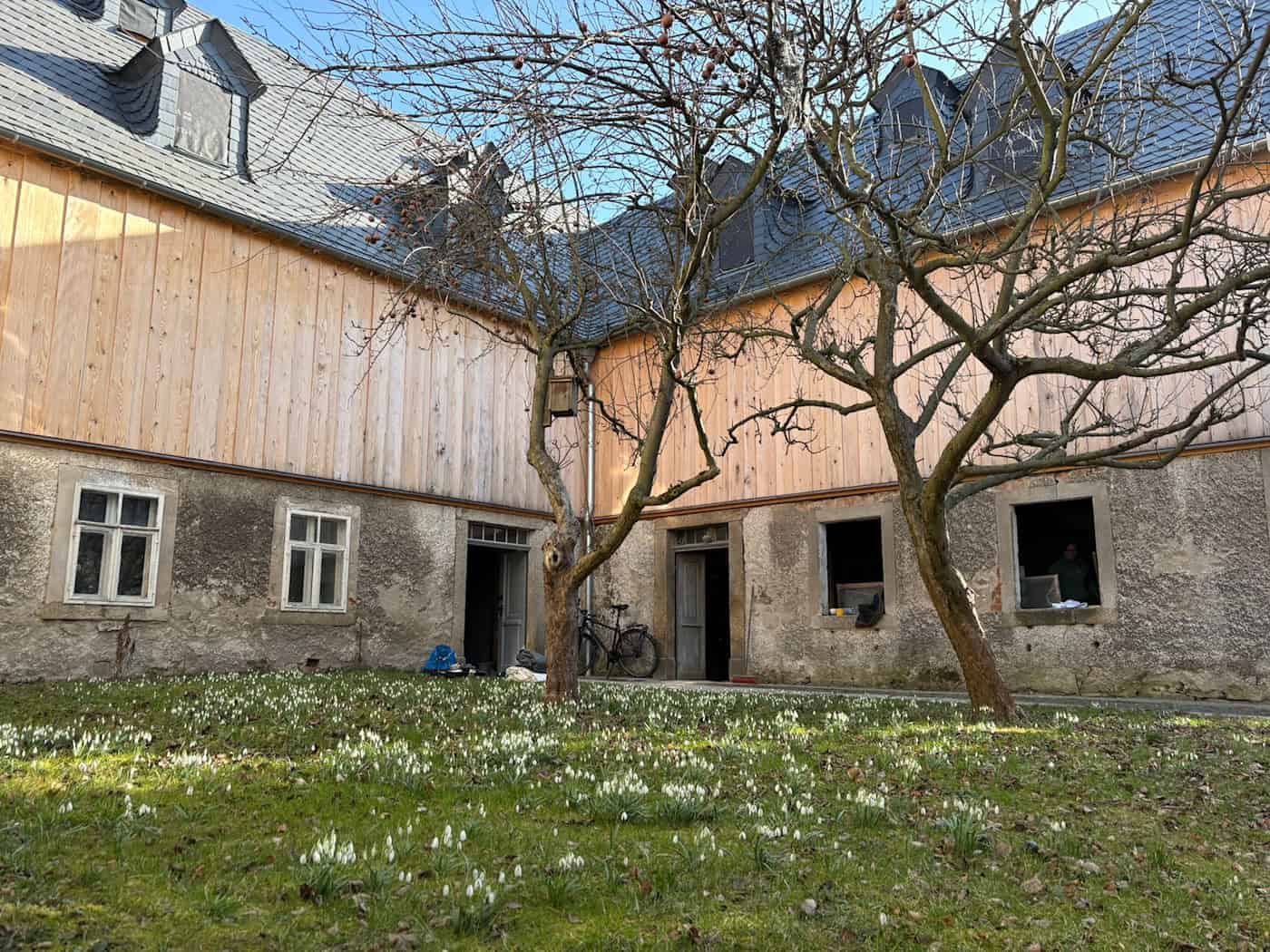 Gebäude, Wiese, Blumen