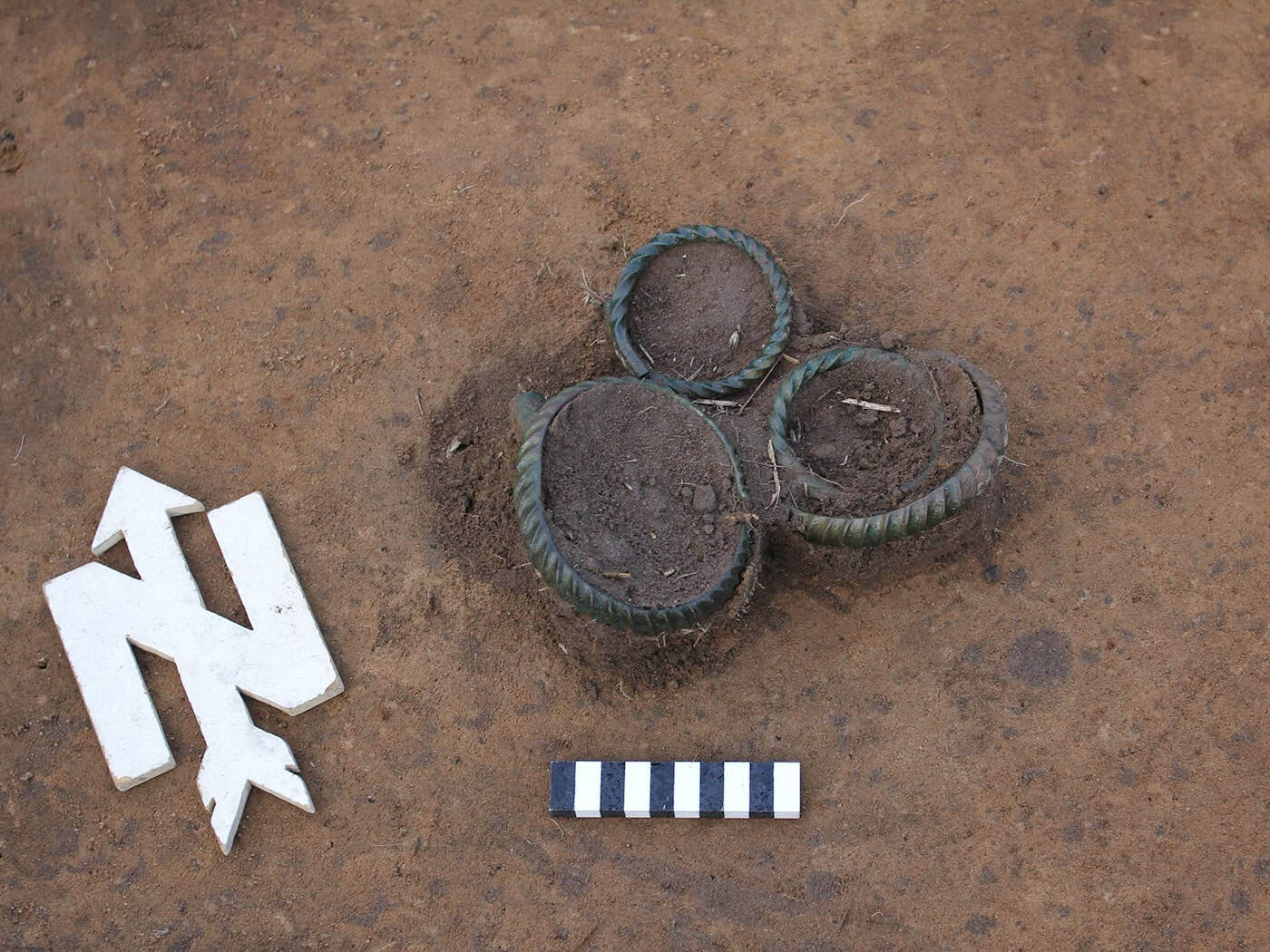 Sondengänger entdeckt Bronzezeit-Ringe