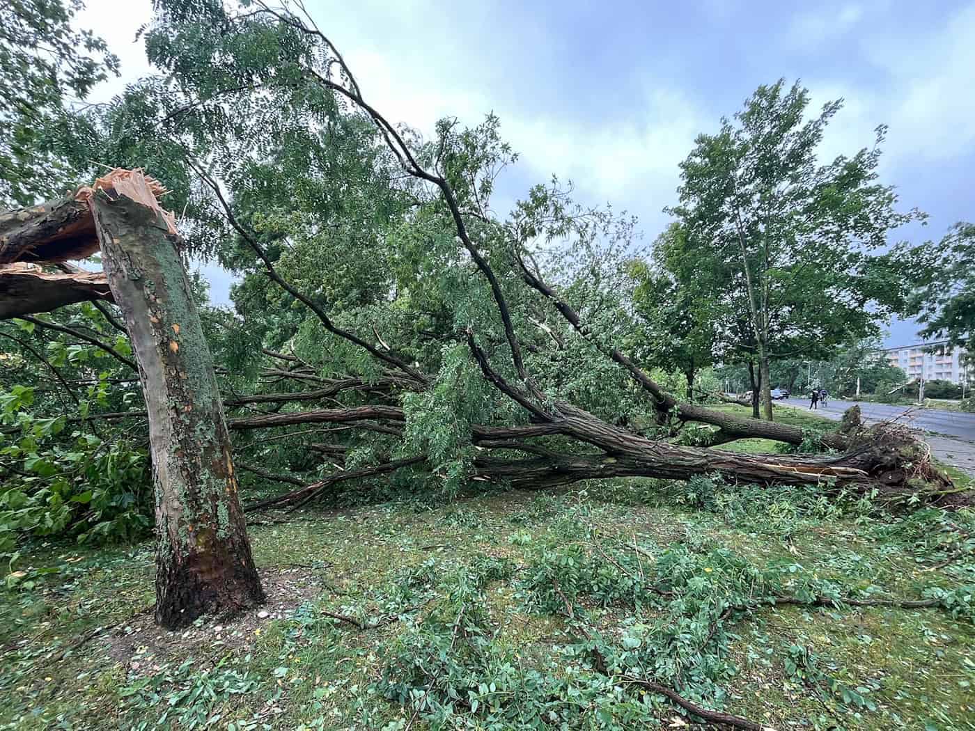 Unwetter verursachten 2025 niedrigere Versicherungsschäden