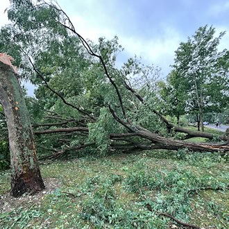 Unwetter verursachten 2025 niedrigere Versicherungsschäden