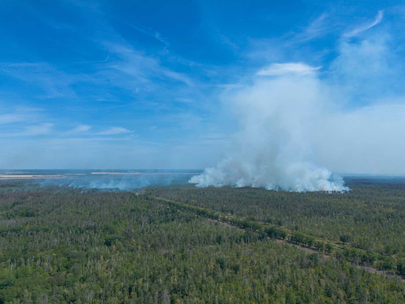 Waldbrand Gohrischheide – Hitze entzündet wohl Altmunition