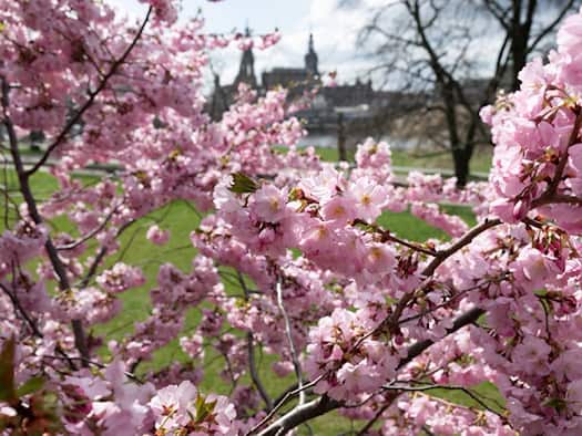 Wieder Sonne in Sachsen