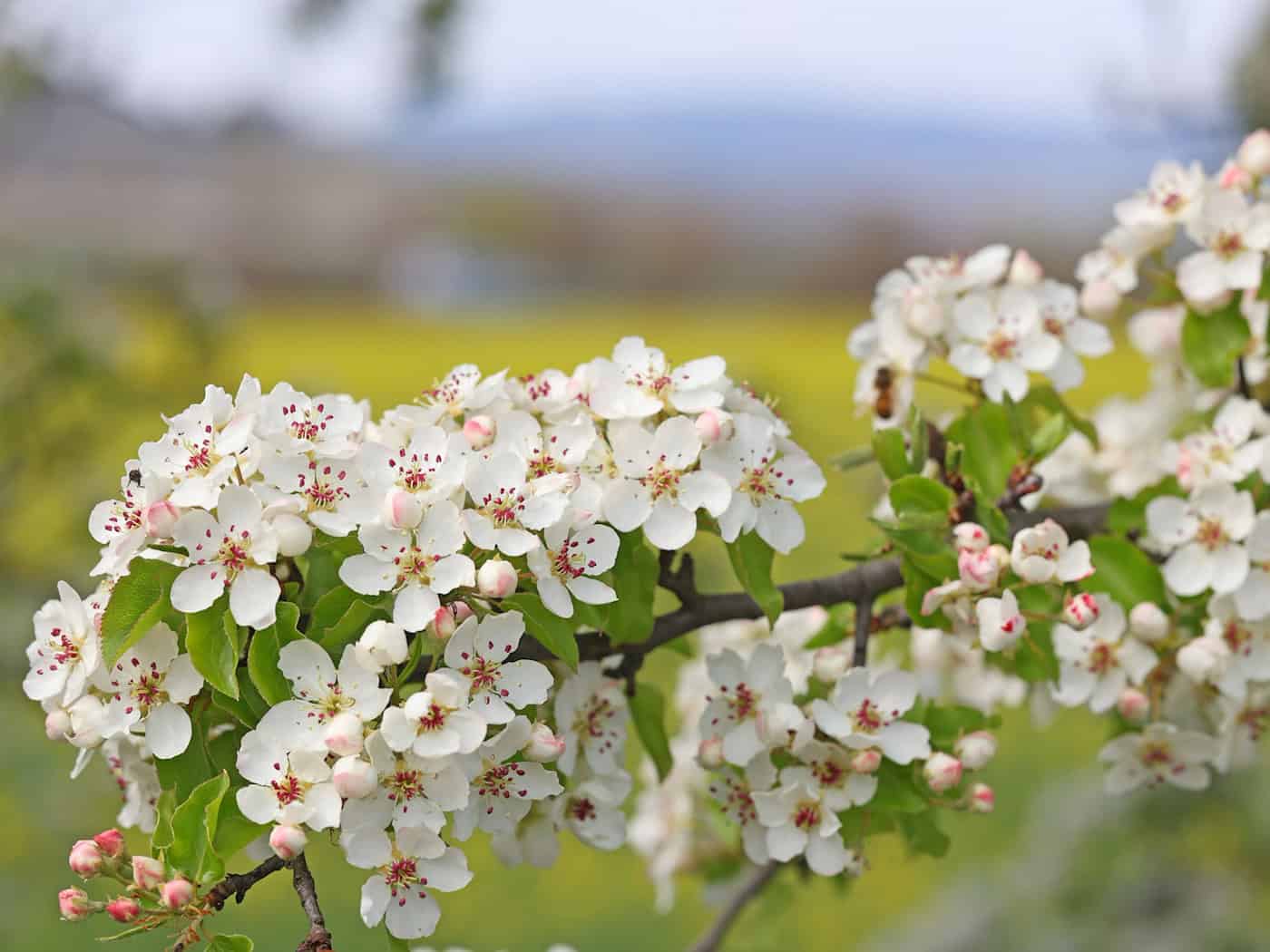 Wieder Sonne in Sachsen