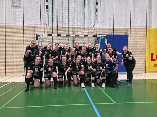 Rödertalbienen gewinnen letztes Auswärtsspiel in Mainz