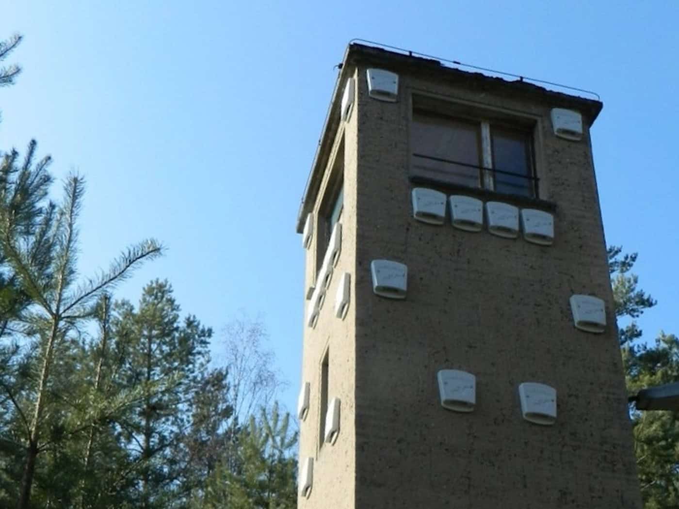 Laußnitzer Heide: Munitionslager weicht Fledermäusen