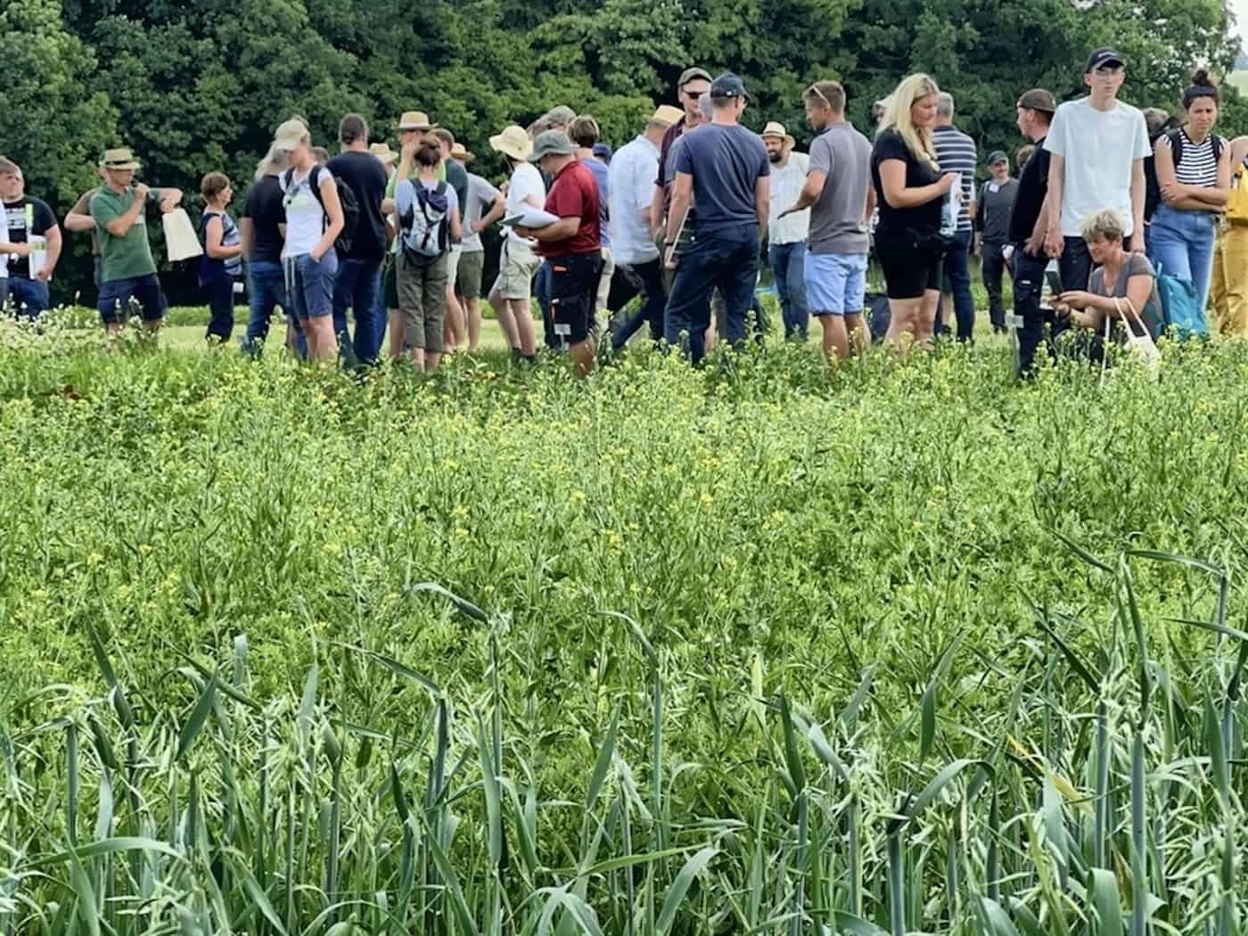 Feldtage starten in Baruth