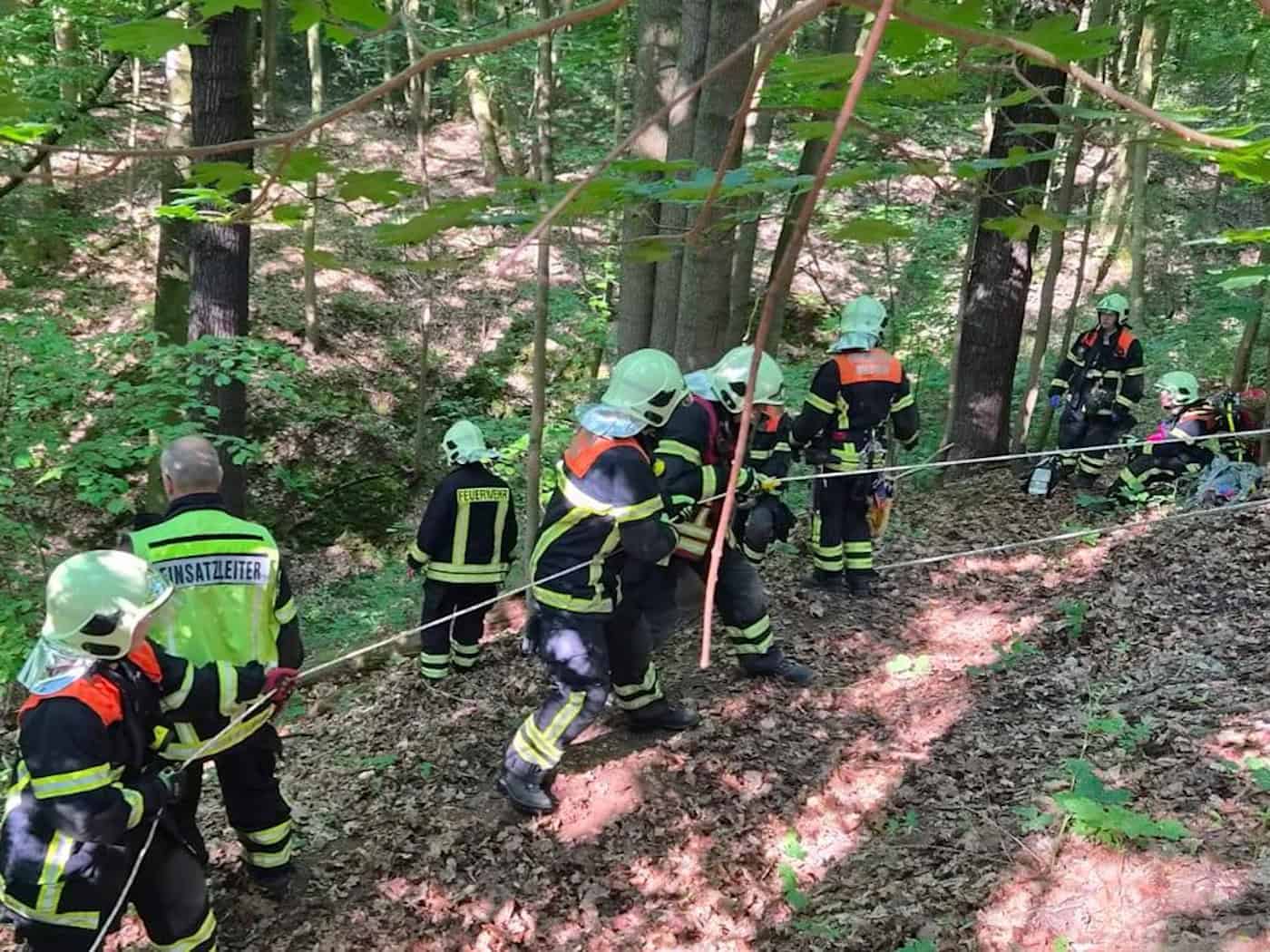 Vermisste Frau im Meißner Stadtwald gerettet