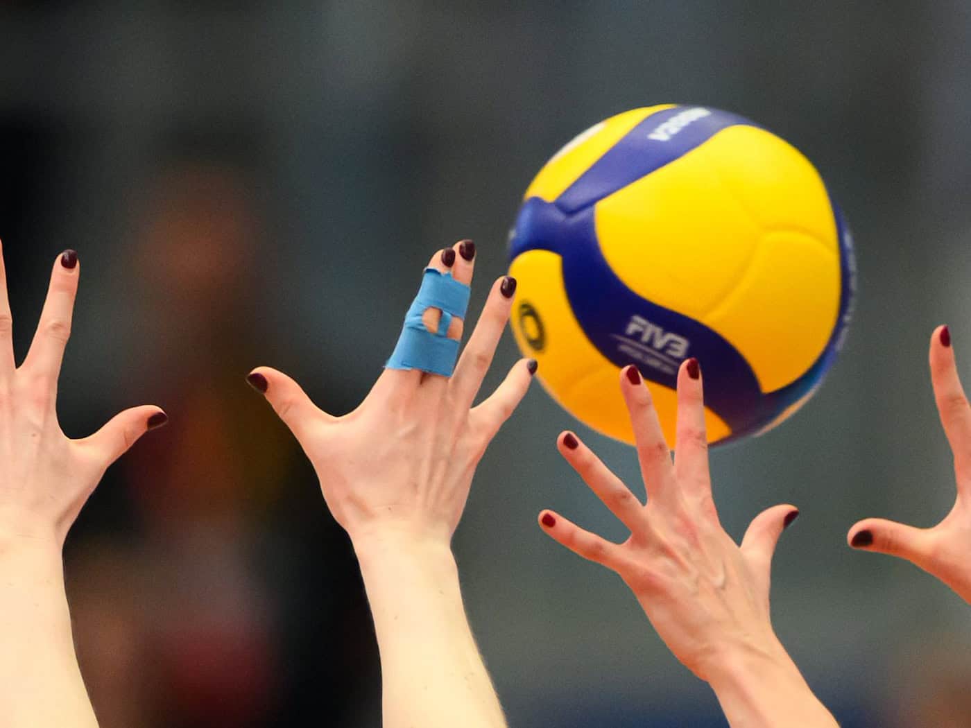 Dresdner Volleyballerinnen verpflichten US-Spielerin