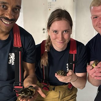 Drei Feuerwehrleute (zwei Männer und eine Frau) in dunkelblauen T-Shirts mit Wappen und hellbraunen Einsatzhosen halten jeweils ein winziges, flauschiges Entenküken behutsam in ihren Händen und lächeln in die Kamera.