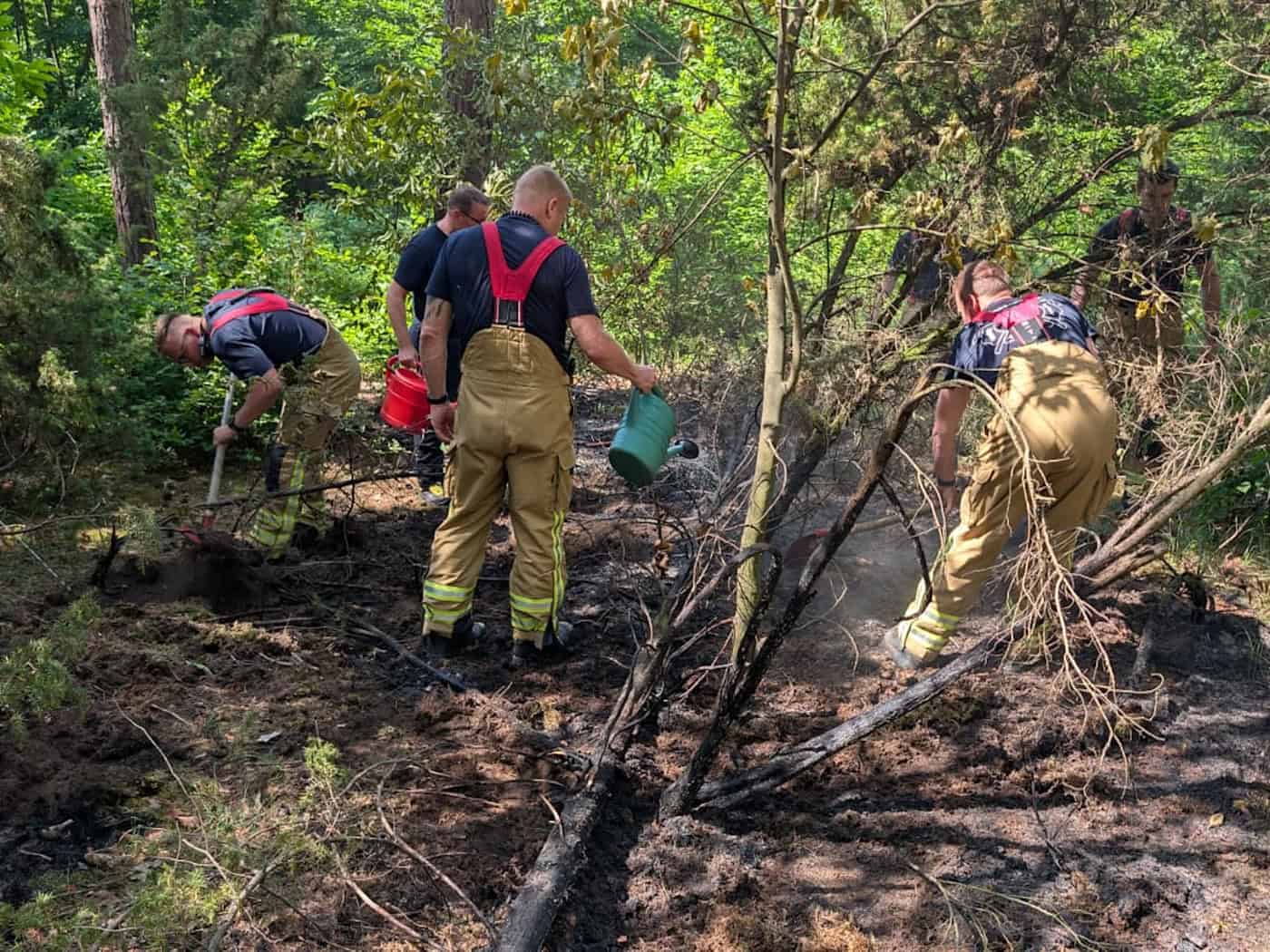 Einsatzkräfte der Feuerwehr Dresden löschen einen Bodenbrand im Wald mit Kleinlöschgeräten und Werkzeugen.