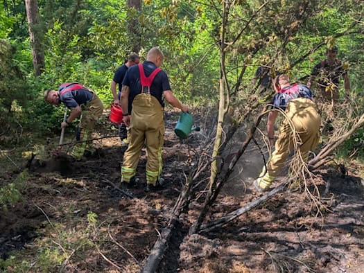 Einsatzkräfte der Feuerwehr Dresden löschen einen Bodenbrand im Wald mit Kleinlöschgeräten und Werkzeugen.