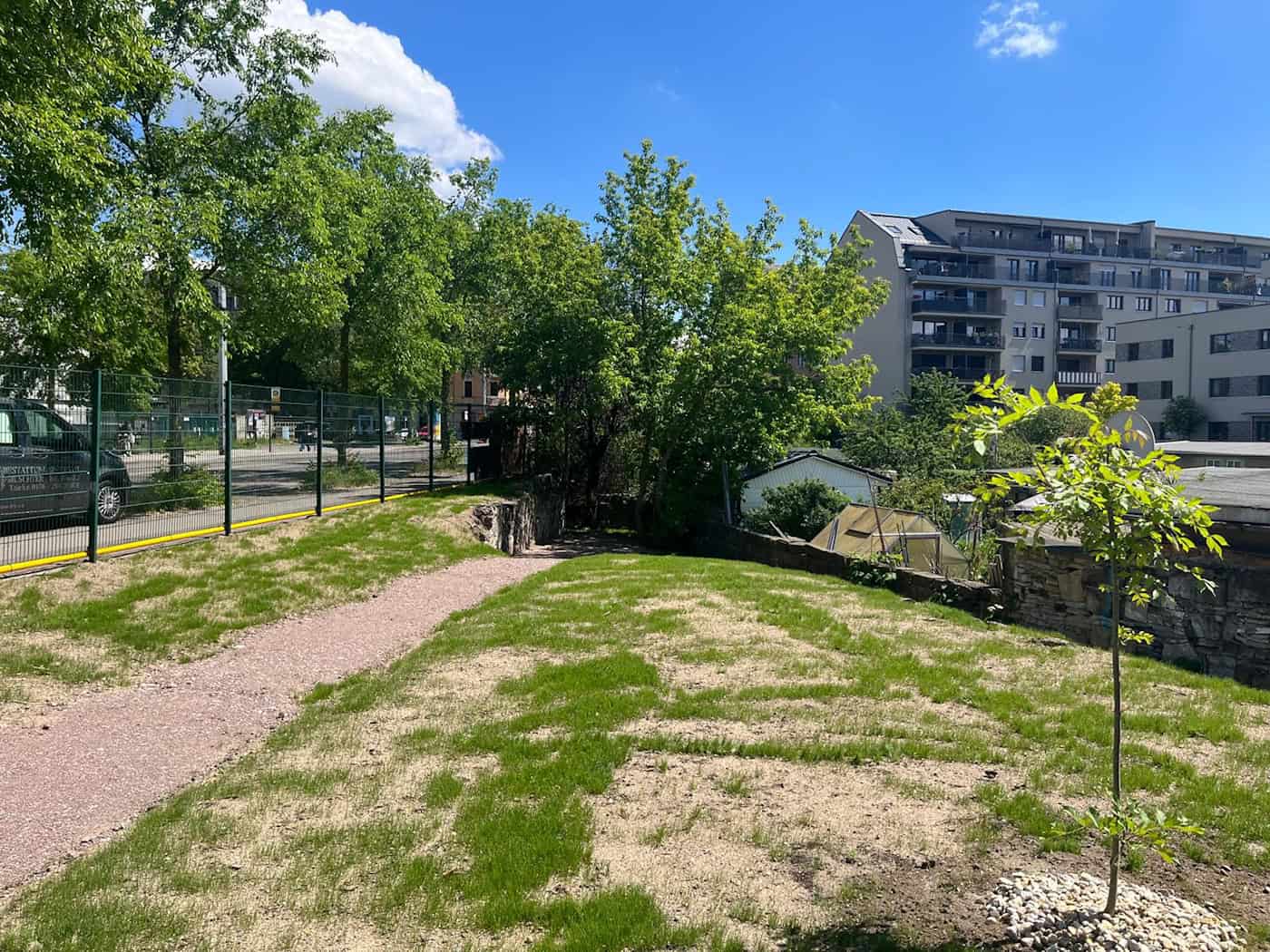 Garten der Erinnerung – Haus der Trauer Dresden. Ein idyllischer, dicht bewachsener Außenbereich mit viel grünem Laub, Bäumen und Sträuchern auf dem Gelände des ehemaligen Handwerksbetriebs, der zum parkähnlichen Erinnerungsgarten umgestaltet wird.