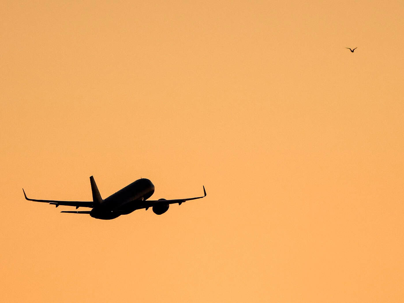 Grüne: Leerflüge am Airport Leipzig/Halle besser überwachen