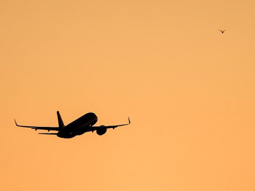 Grüne: Leerflüge am Airport Leipzig/Halle besser überwachen