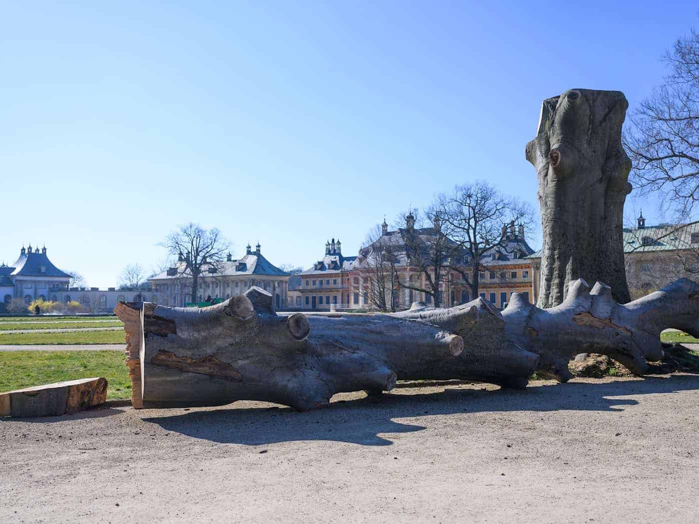 Historické zahrady pokračují v boji proti změně klimatu