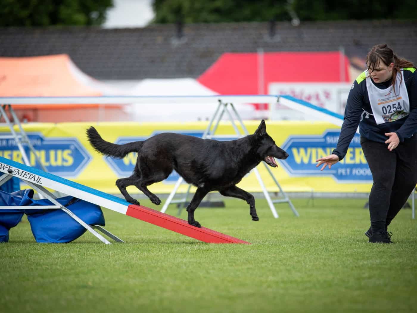Hundesport