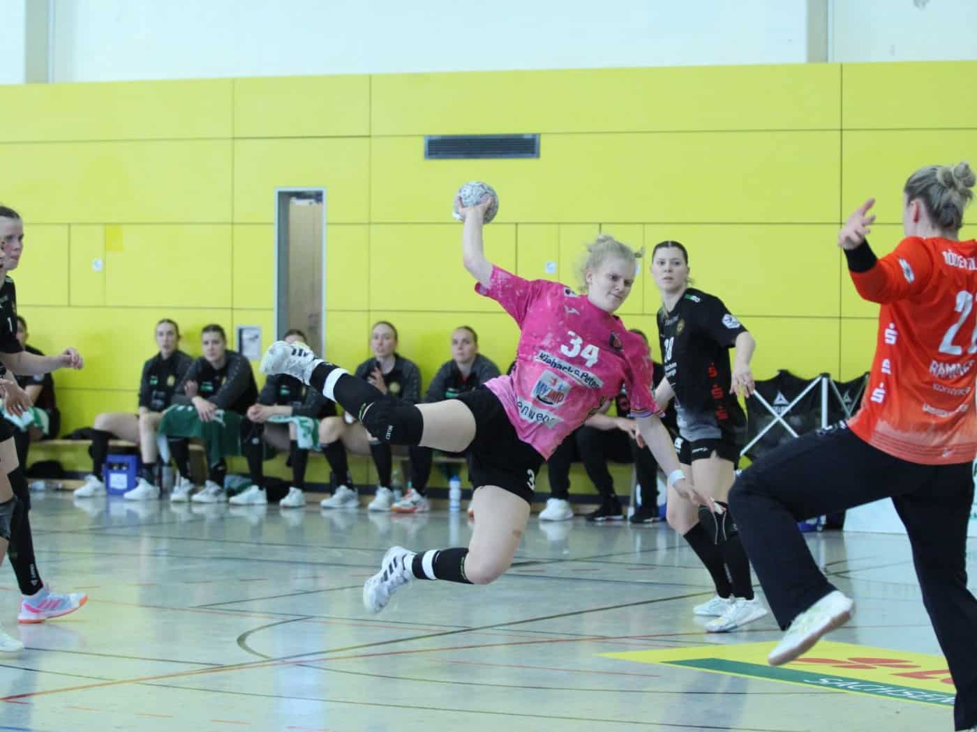 Handballspiel