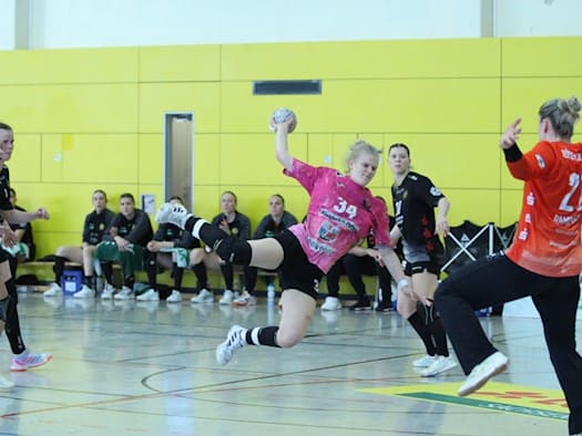 Handballspiel